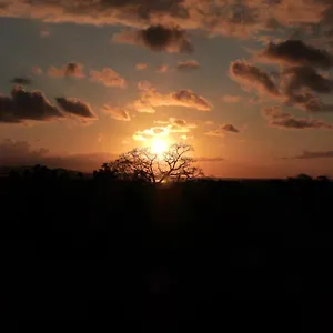 Le Ti Bourgeois , Riviere-Salee Martinique